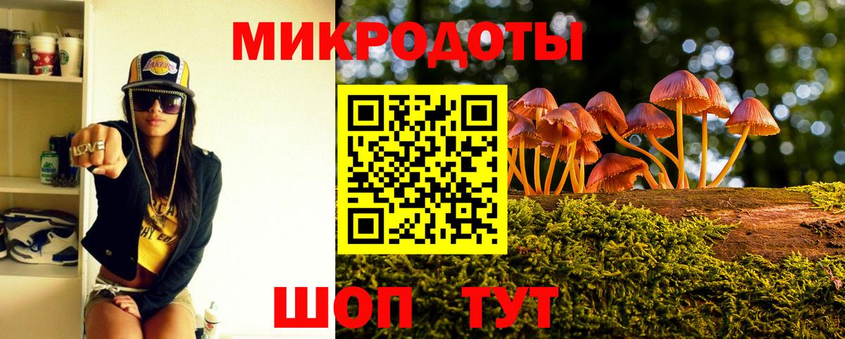 Псилоцибиновые грибы Psilocybine cubensis Георгиевск